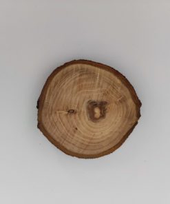 Alternative view of Kérges fakorong cseresznyefa 5-6cm