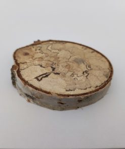 Kérges fakorong nyírfa 5-6cm