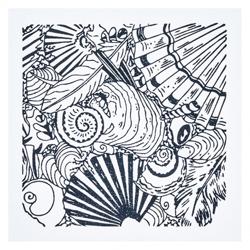Cernit textúra Shells - Image 2